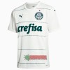 Oficiální Fotbalový Dres Palmeiras Hostující 2022-23 pro Muži